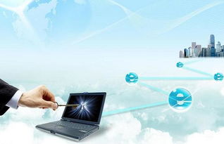 共商濱海新區跨境電商發展大計